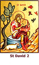 St-David-icon